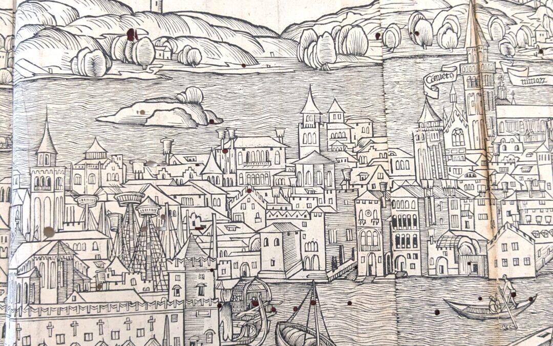 ‘Wonder’ exhibition in Worcester Cathedral in June